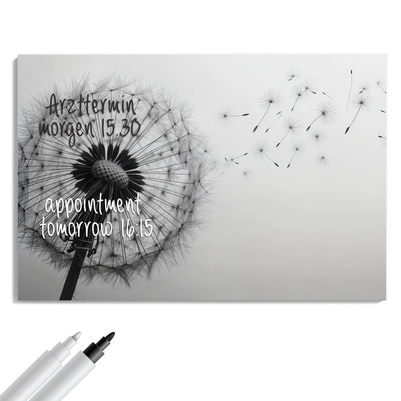 Magnetická tabule s motivem Pampeliška ve větru 60 x 40