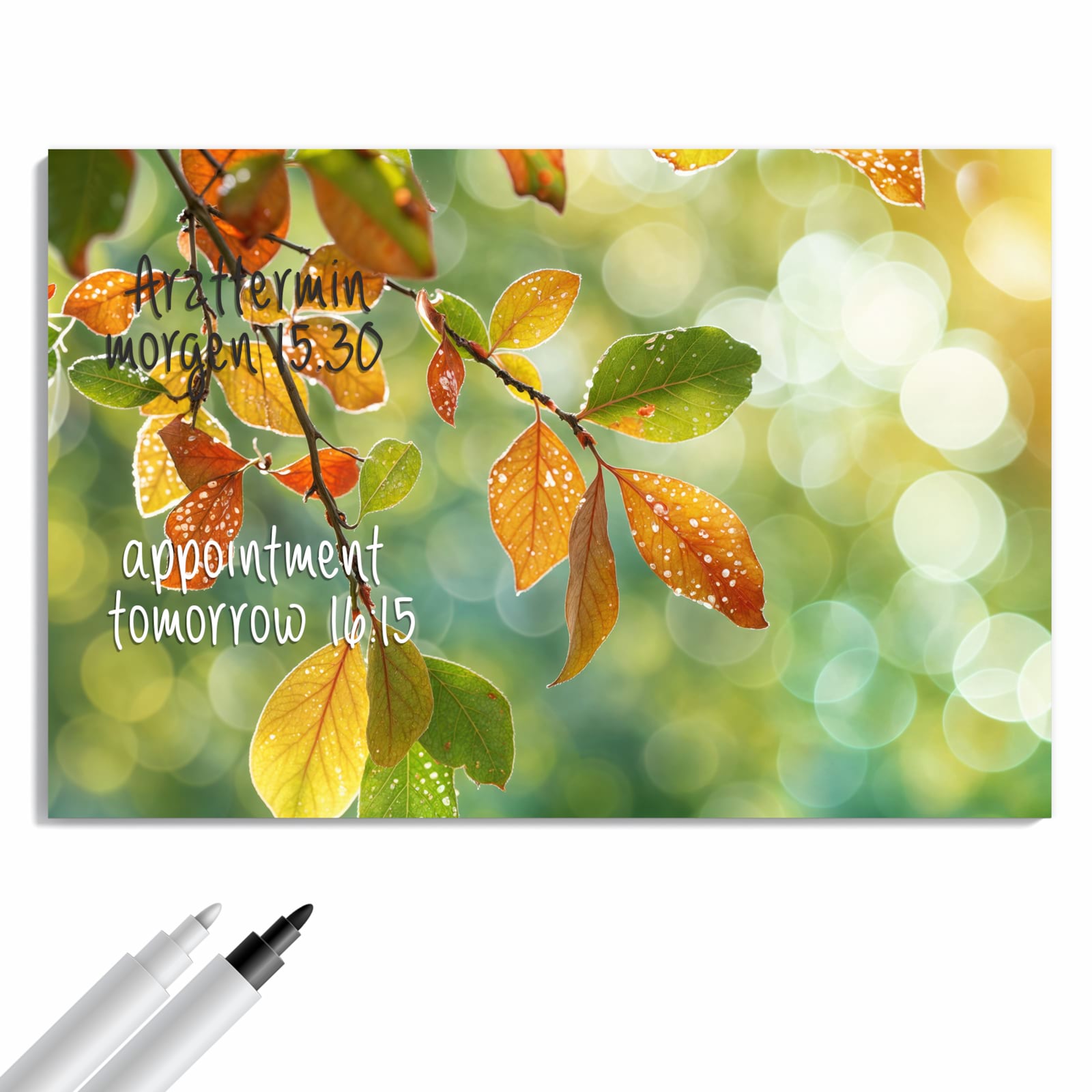 Magnetická tabule s motivem Podzimní listí 60 x 40