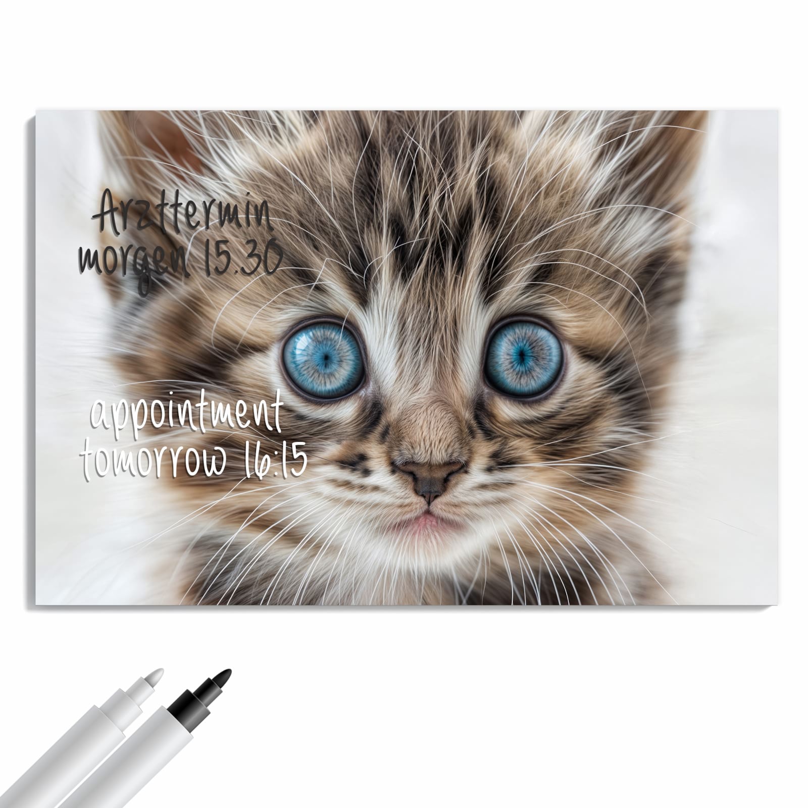Magnetická tabule s motivem Modrooká kočka 90 x 60