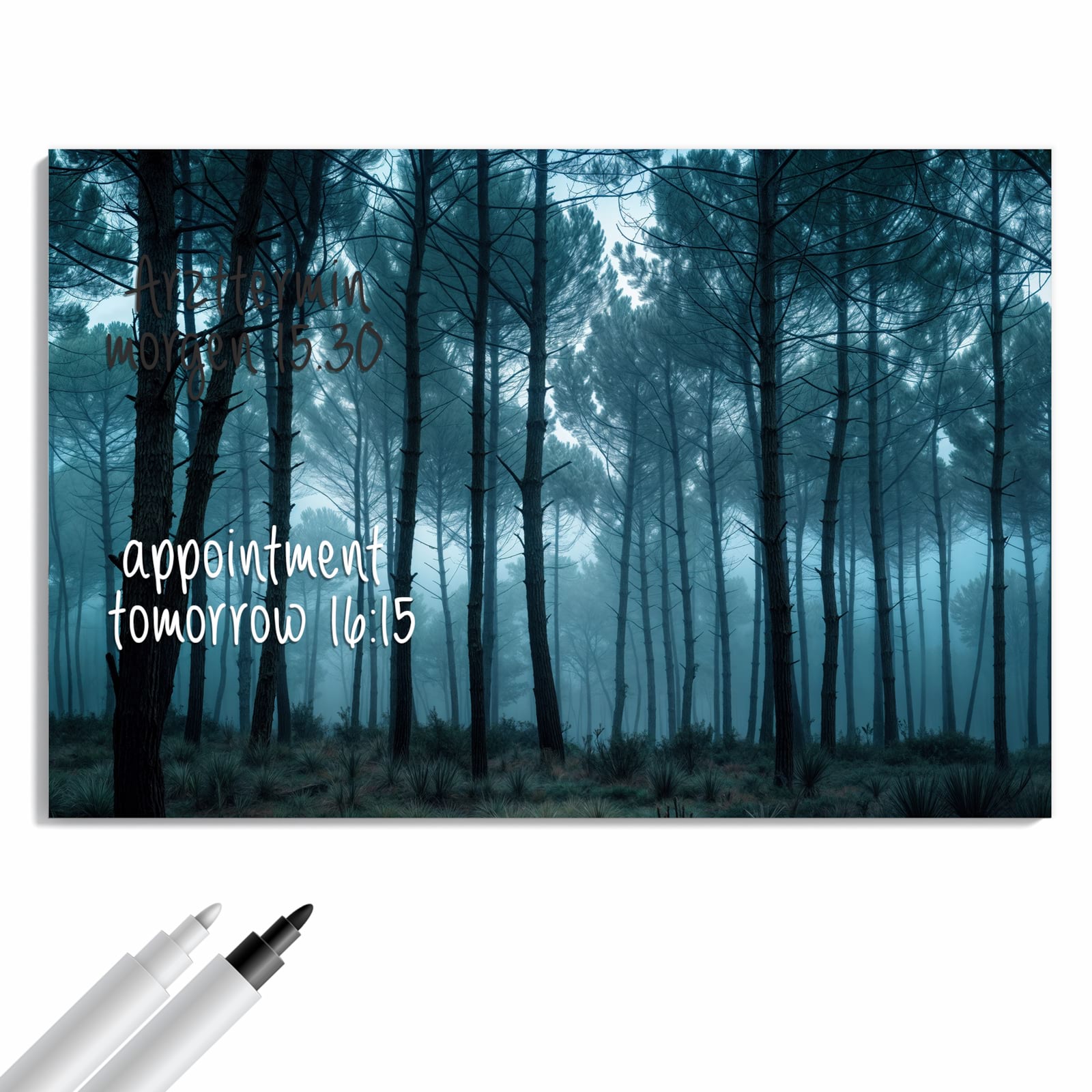 Magnetická tabule – obraz na zeď Mlhavý les | 60 × 40 cm
