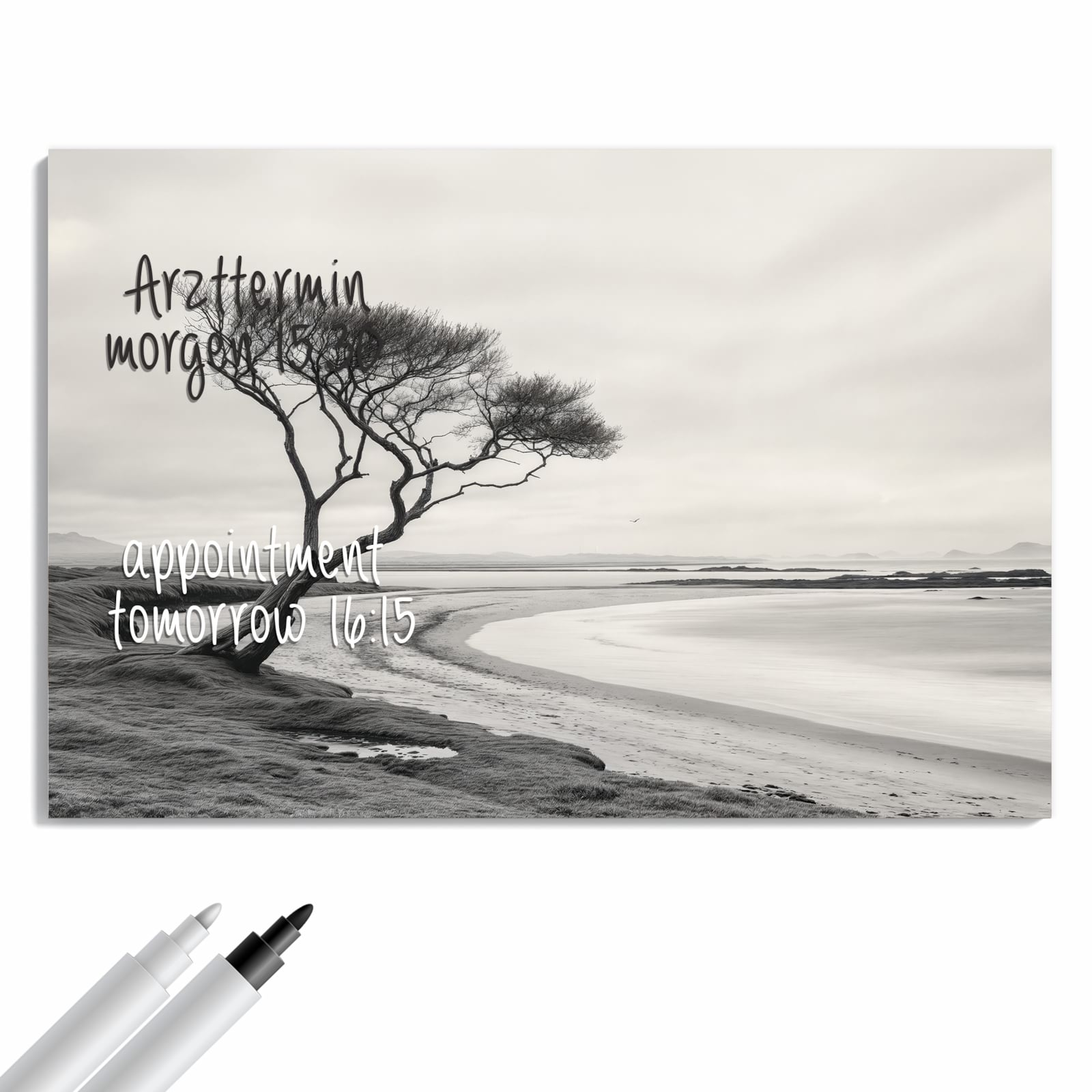 Magnetická tabule – obraz na zeď Osamělý strom moře | 90 × 60 cm