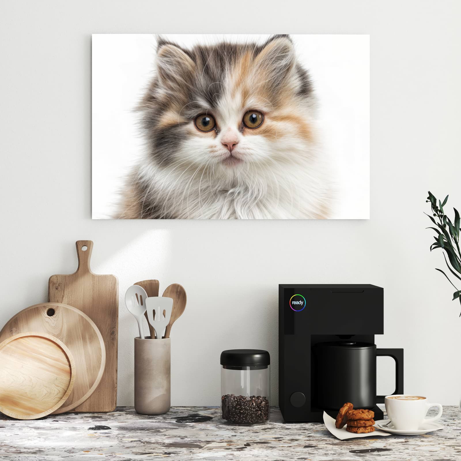 Magnetická tabule s motivem Chlupatá kočka 60 x 40